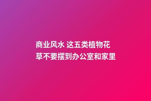 商业风水 这五类植物花草不要摆到办公室和家里